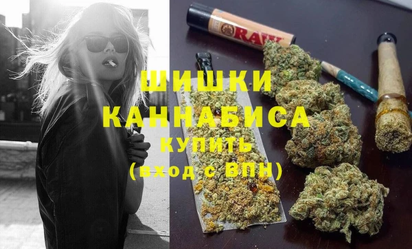 СК Волосово