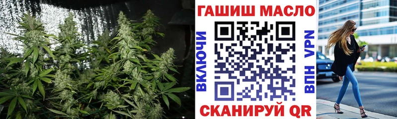 кракен как войти  Гусиноозёрск  ТГК вейп с тгк  продажа наркотиков 