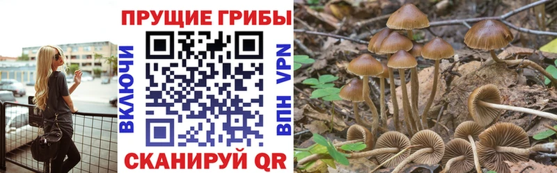Псилоцибиновые грибы мицелий  Гусиноозёрск 